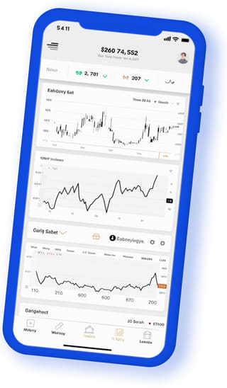 Casthaven Equity digital web application on mobile device